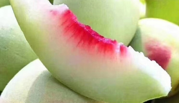 產(chǎn)品圖片