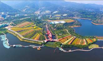 【周末出发特惠】深圳东部华侨城大峡谷 云海索道 丛林缆车 环游小火车 纯玩1天