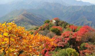 【赏秋泡泉美食游】江门新会圭峰龙泉温泉 圭峰山赏枫叶 大红柑园 顺德逢简水乡 大闸蟹腊味宴 全牛火锅宴2天(住景龙/观龙楼)