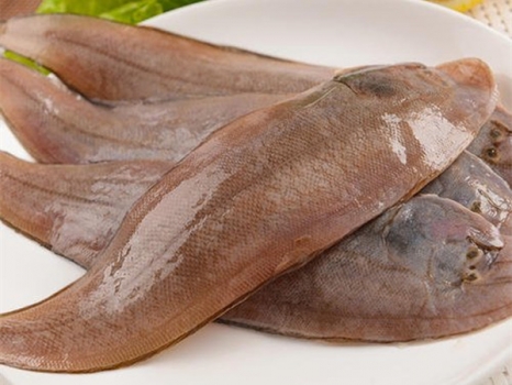 【鲜甜龙利鱼 128元3斤】护眼鱼肉 淡咸鲜甜 细嫩少刺 已去内脏 开袋