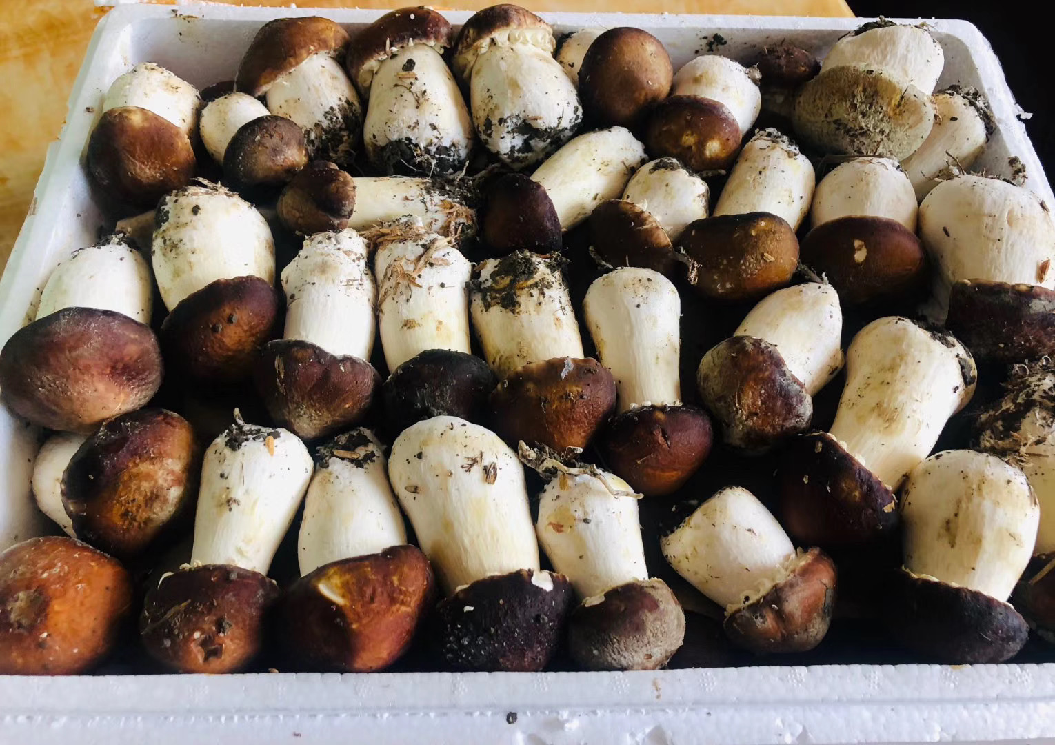 限时抢购云南特产新鲜姬松茸￥199抵吃价含箱约6斤菌净重约55斤现摘现