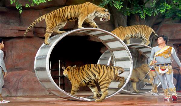 增城出發順德長鹿農莊親親動物園純玩一天含觀光票動物園門票30元動物