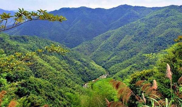 梅州豐順高山杜鵑花節汕頭南澳島潮州寶豐空中氡溫泉吃足5餐3天升級a